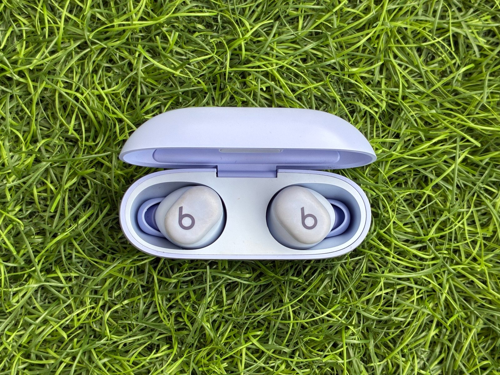 Beats Buds Case Open
